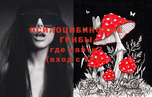 крисы Ступино