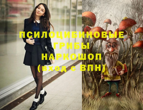 крисы Ступино