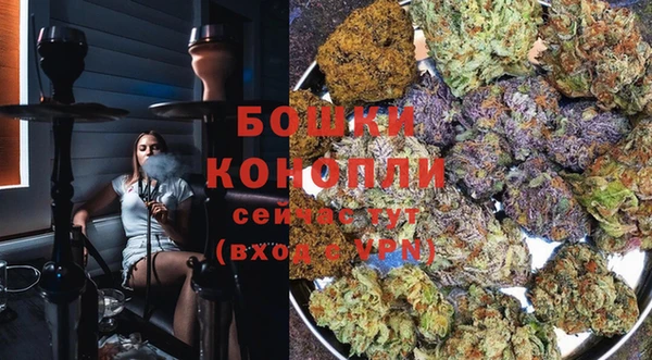 крисы Ступино