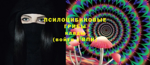 первитин Струнино