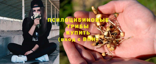 первитин Струнино