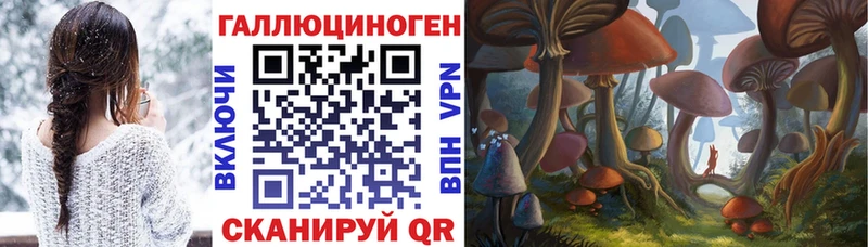 Купить где  Фокино  Галлюциногенные грибы Psilocybe 